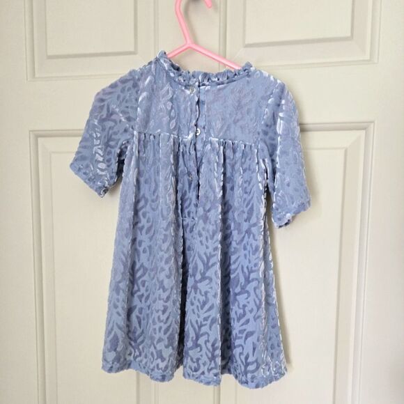 2/$30 Jessica Simpson dress 18 m - Picture 3 of 4